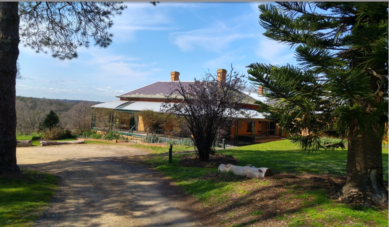 image1